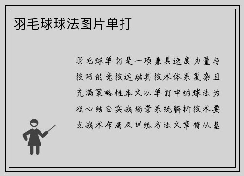 羽毛球球法图片单打
