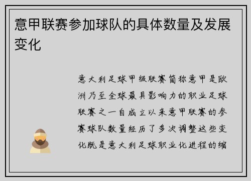 意甲联赛参加球队的具体数量及发展变化